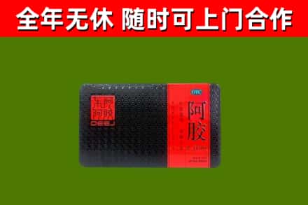 江源区回收阿胶