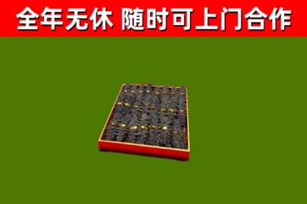江源区回收海参